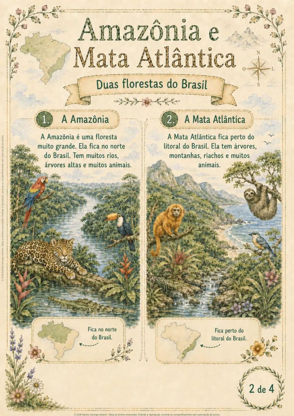 Geografia sobre Amazônia e Mata Atlântica